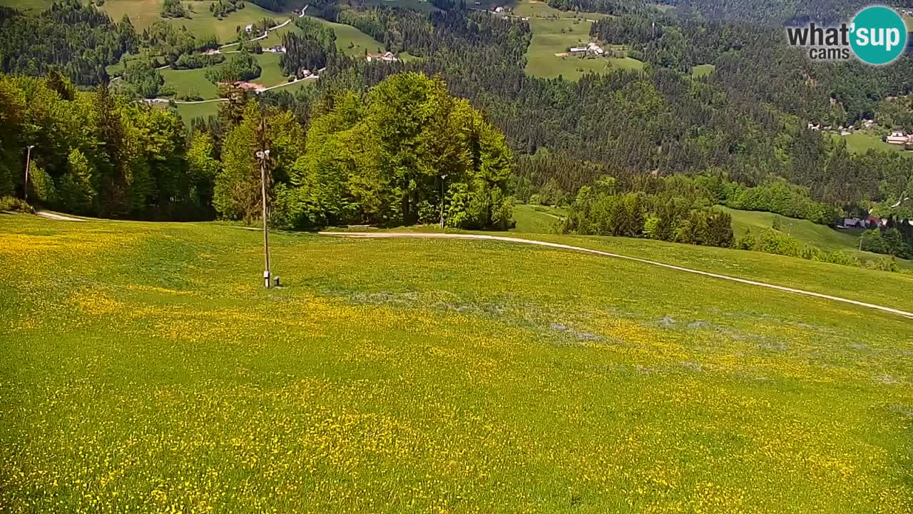 Skijalište Stari Vrh Web kamera uživo – Slovenija