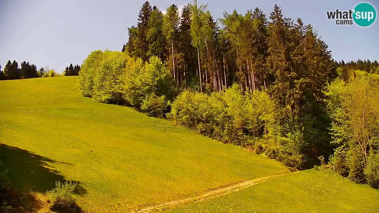 Estación de esquí Stari Vrh Cámara web en vivo – Eslovenia