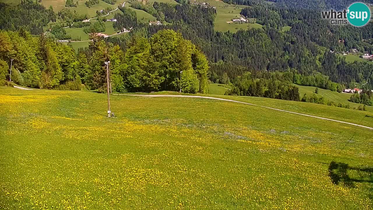 Smučišče Stari Vrh Spletna kamera – vrtljiva