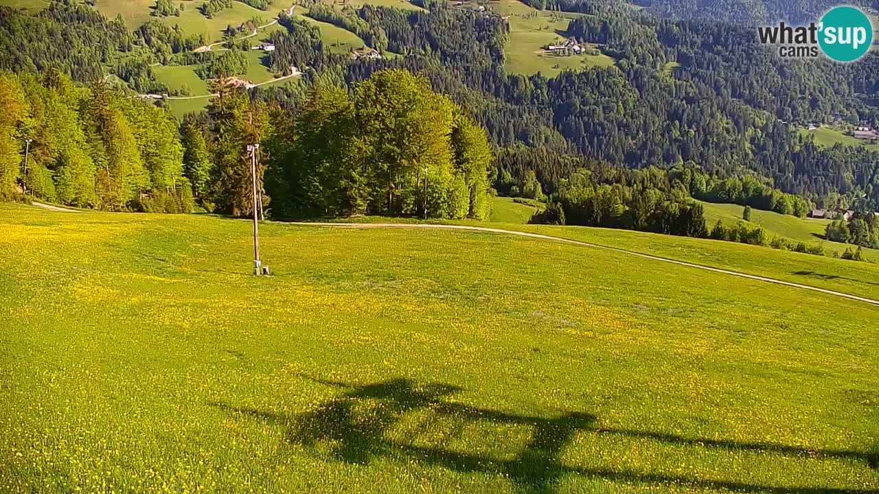 Skijalište Stari Vrh Web kamera uživo – Slovenija