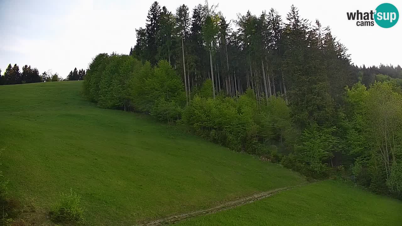 Stari Vrh Ski resort Live webcam – Slovenia