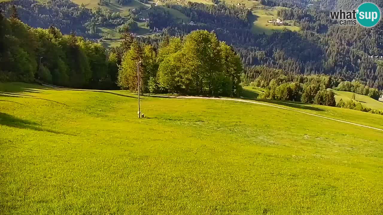 Skijalište Stari Vrh Web kamera uživo – Slovenija