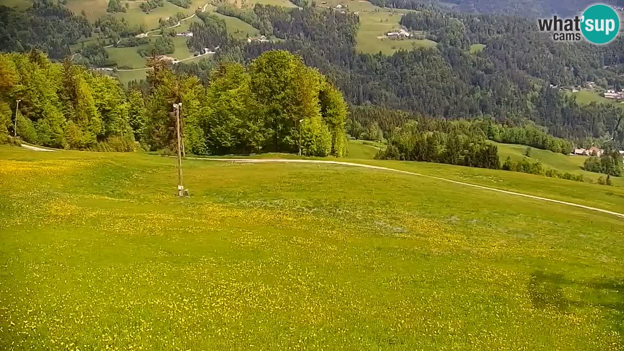 Skijalište Stari Vrh Web kamera uživo – Slovenija
