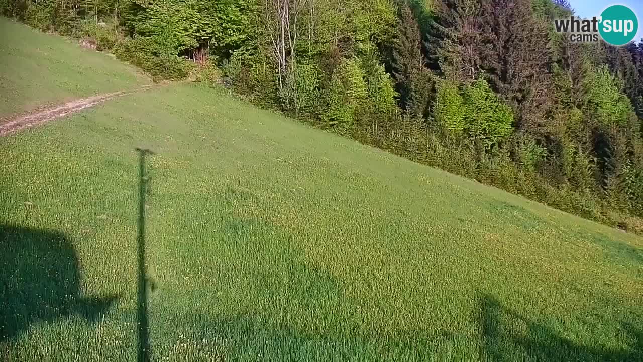 Stazione sciistica di Stari Vrh Webcam in diretta – Slovenia