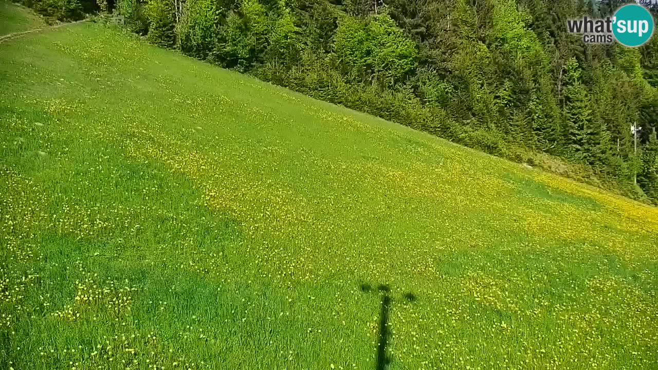 Stazione sciistica di Stari Vrh Webcam in diretta – Slovenia