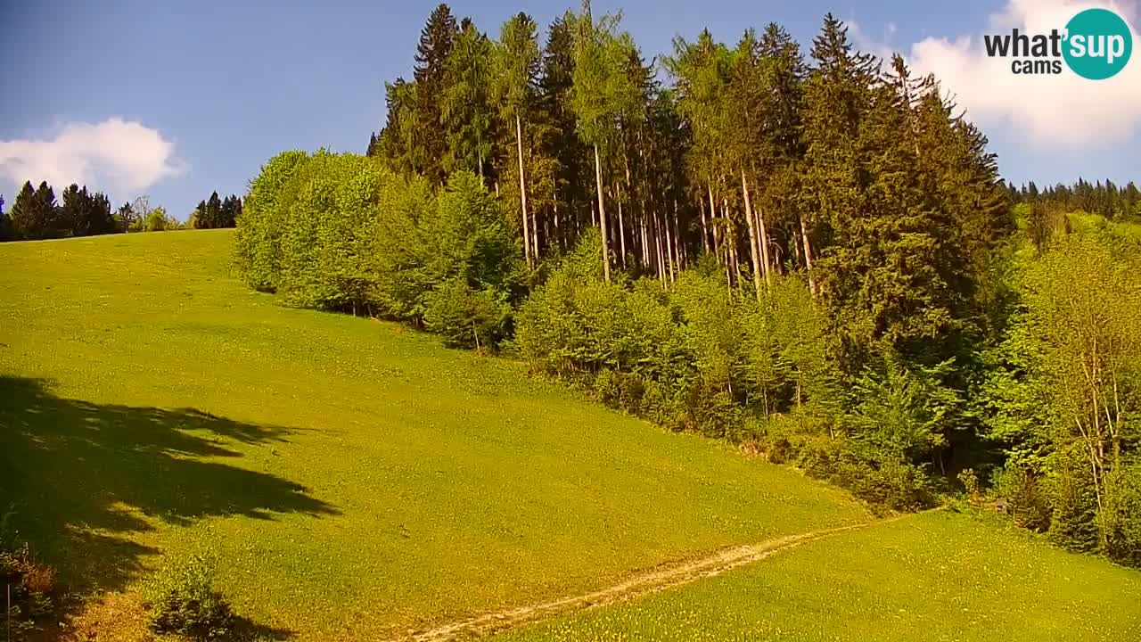 Stari Vrh Ski resort Live webcam – Slovenia