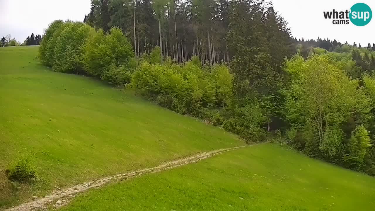 Stari Vrh Ski resort Live webcam – Slovenia