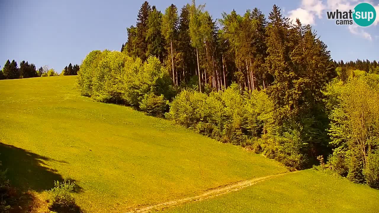 Stazione sciistica di Stari Vrh Webcam in diretta – Slovenia