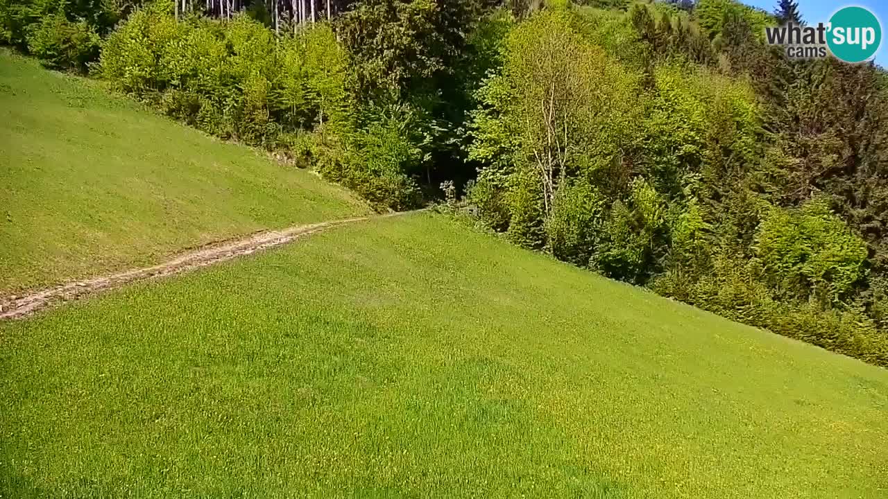 Stari Vrh Ski resort Live webcam – Slovenia