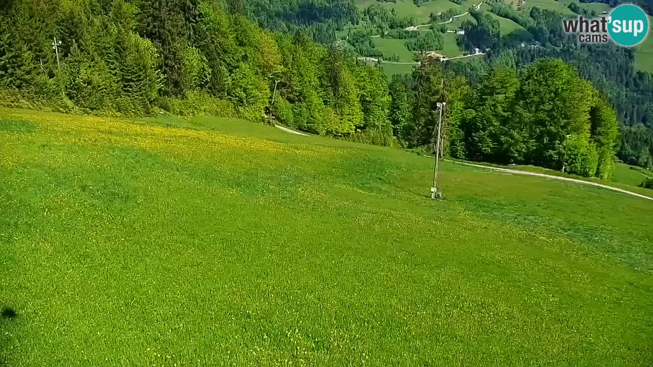 Skigebiet Stari Vrh Live Webcam – Slowenien