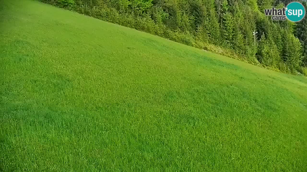 Stazione sciistica di Stari Vrh Webcam in diretta – Slovenia