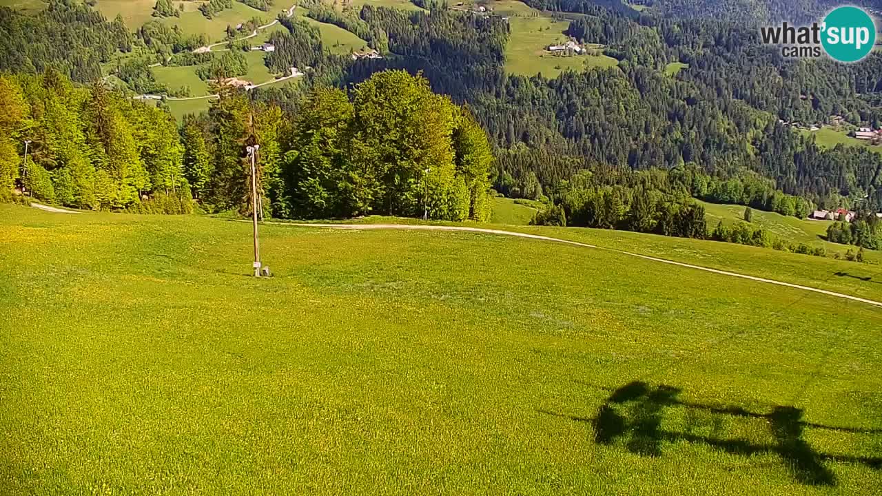 Stazione sciistica di Stari Vrh Webcam in diretta – Slovenia