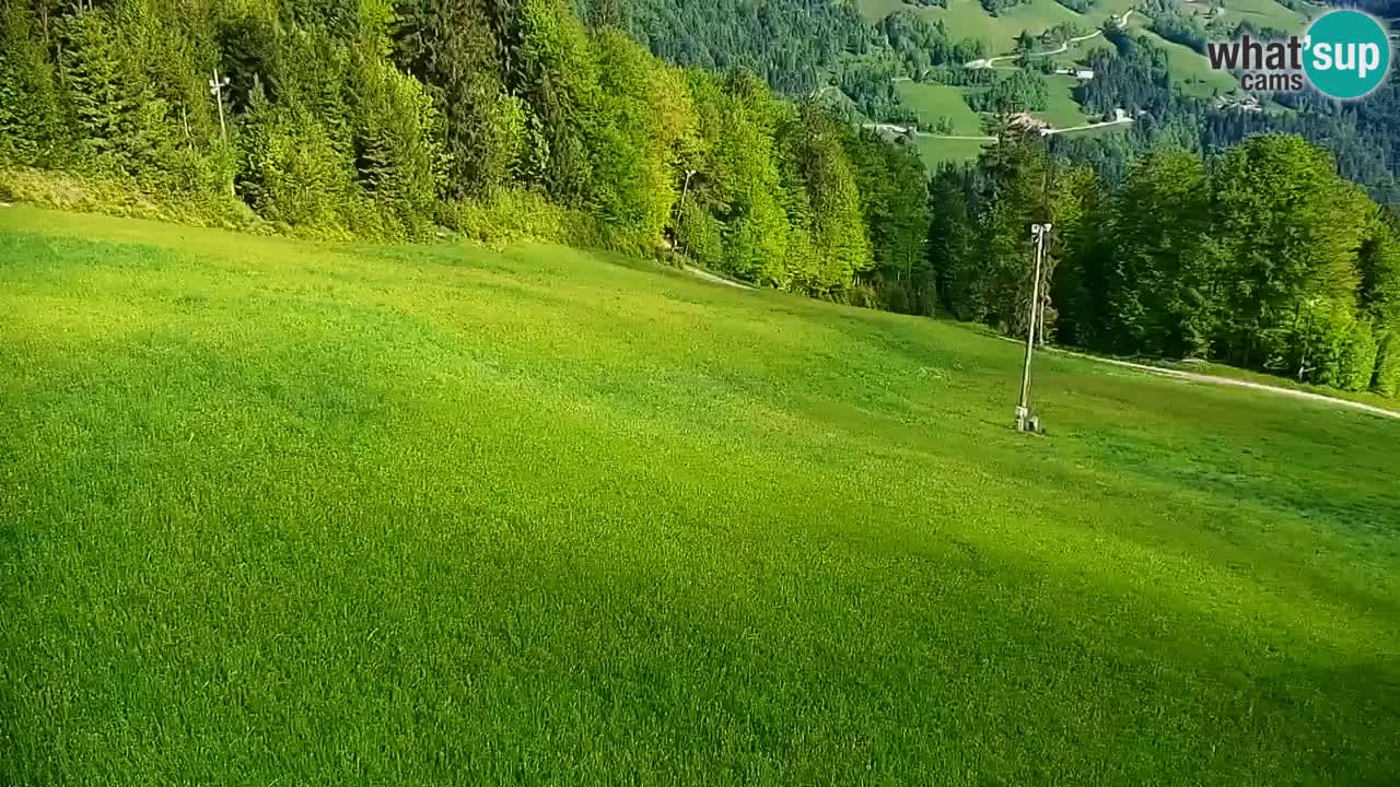 Skigebiet Stari Vrh Live Webcam – Slowenien