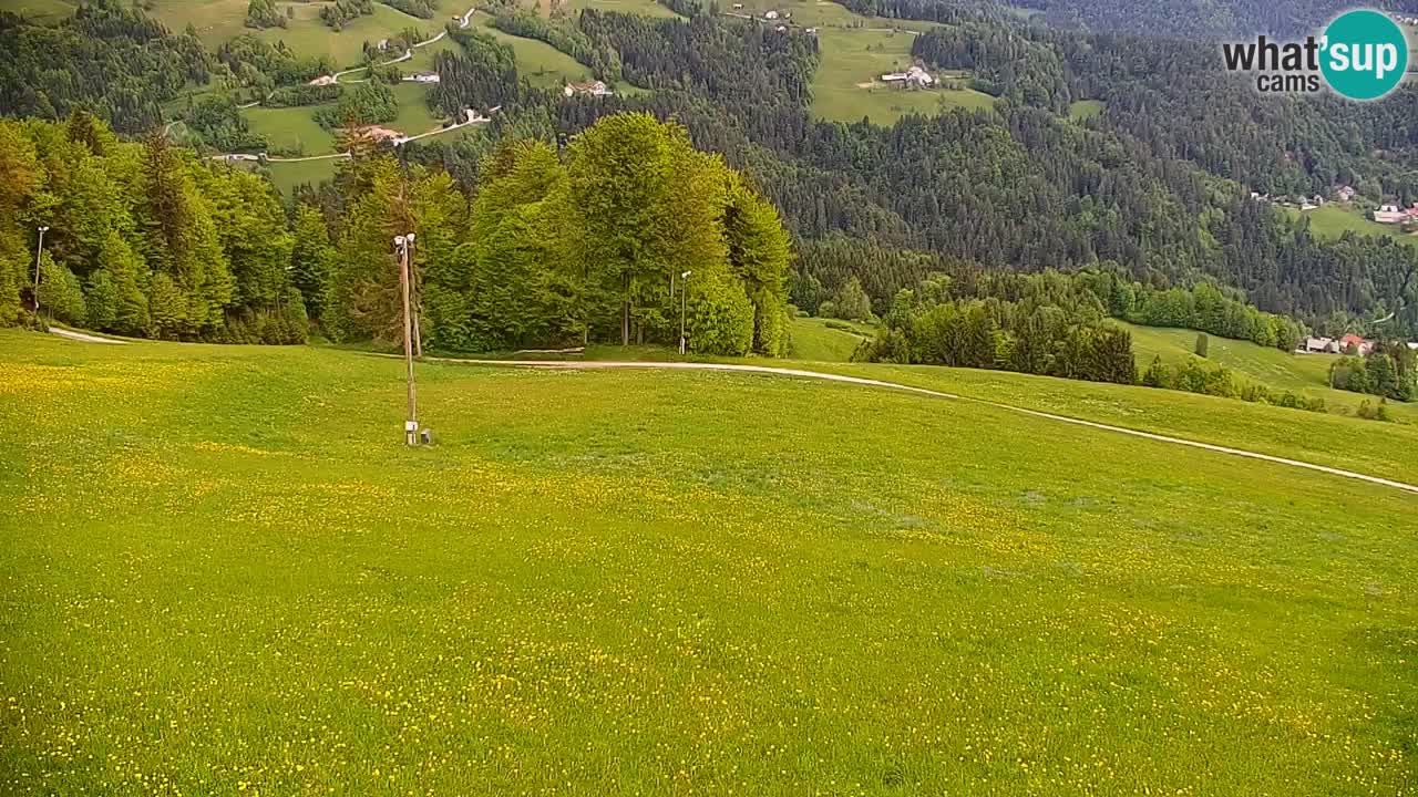 Smučišče Stari Vrh Spletna kamera – vrtljiva
