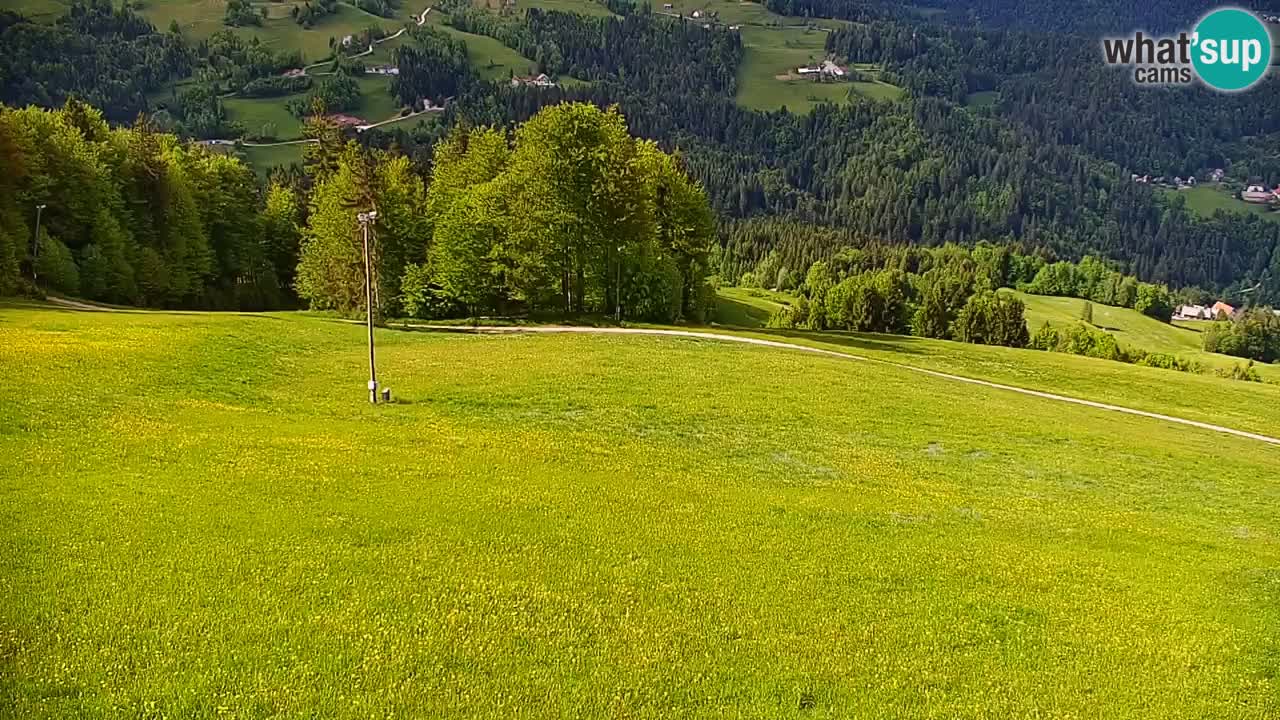 Skijalište Stari Vrh Web kamera uživo – Slovenija