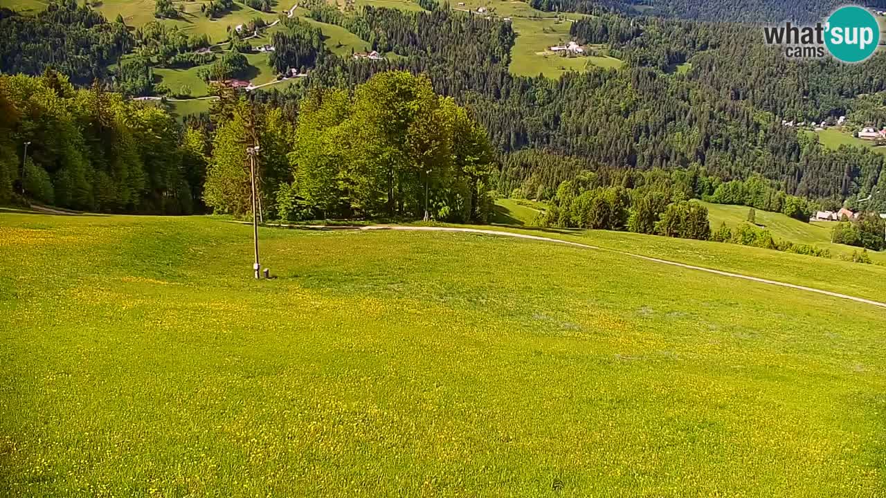 Stazione sciistica di Stari Vrh Webcam in diretta – Slovenia