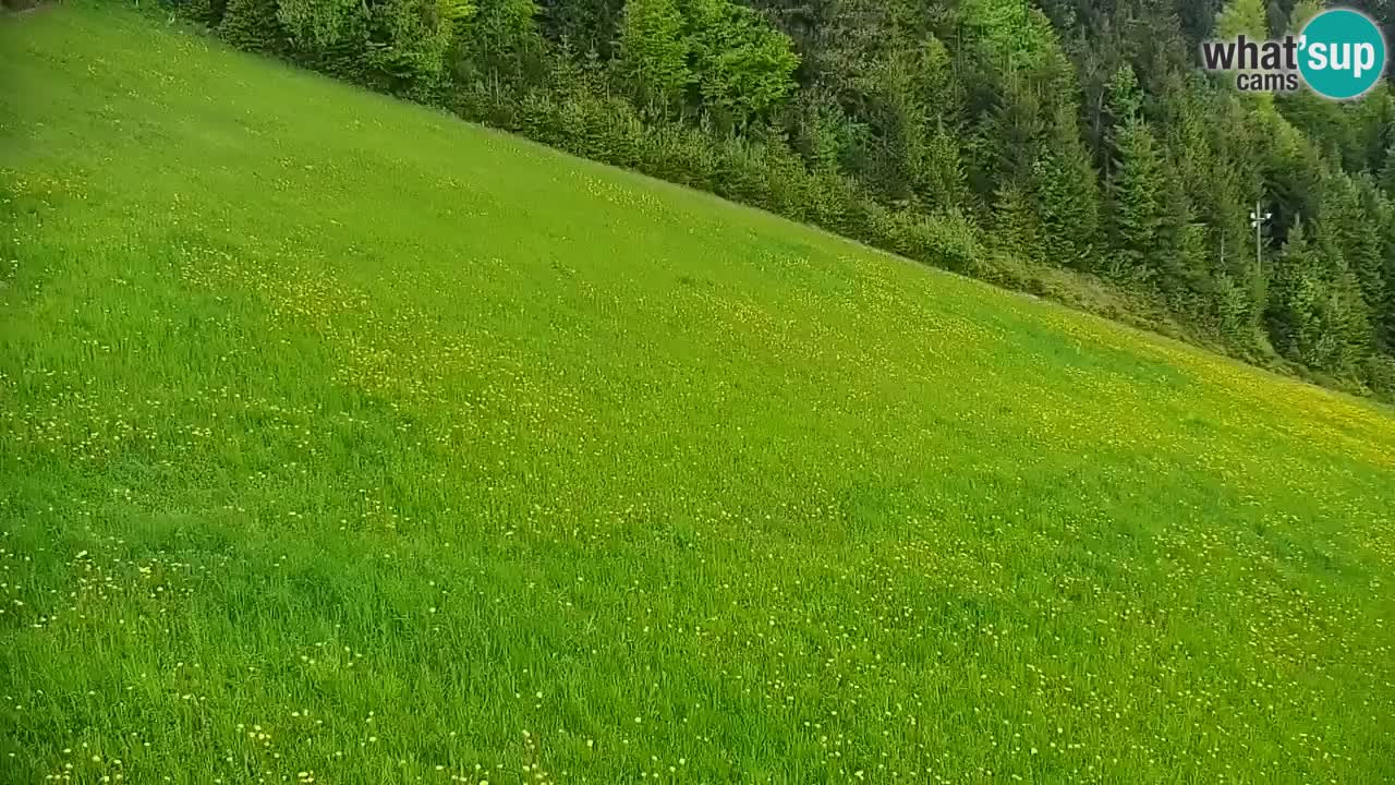 Stazione sciistica di Stari Vrh Webcam in diretta – Slovenia