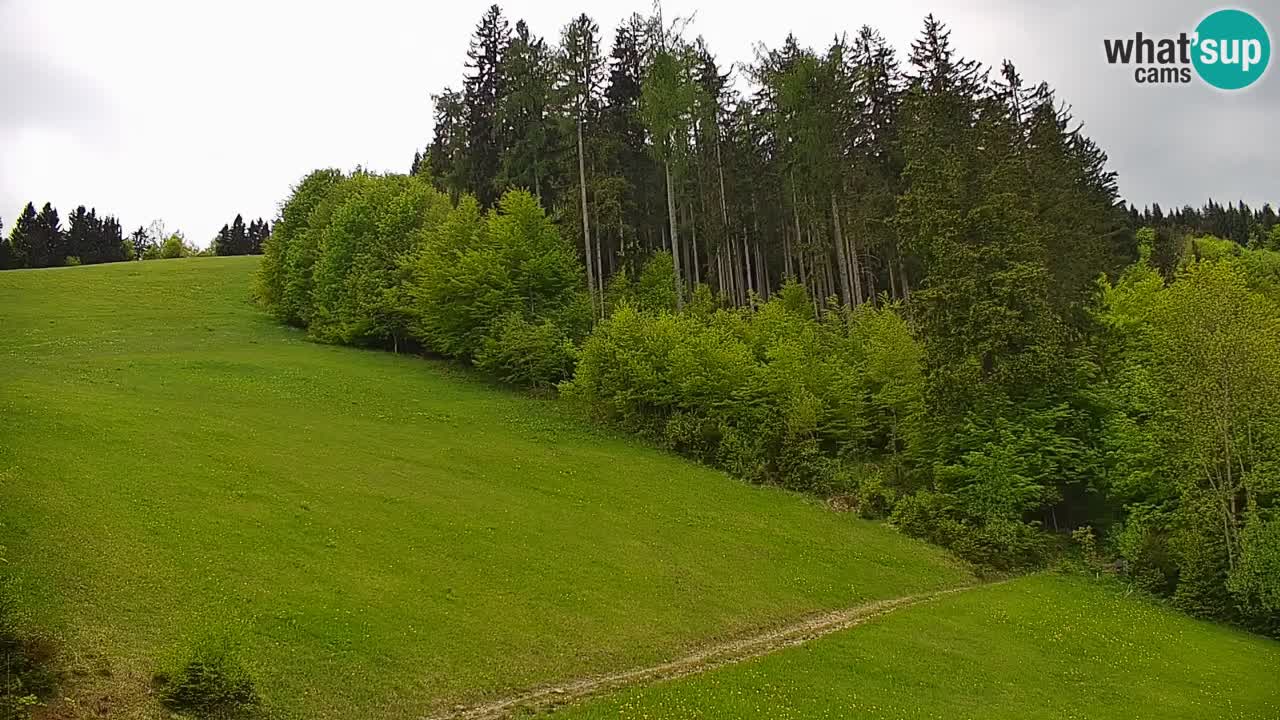 Skigebiet Stari Vrh Live Webcam – Slowenien