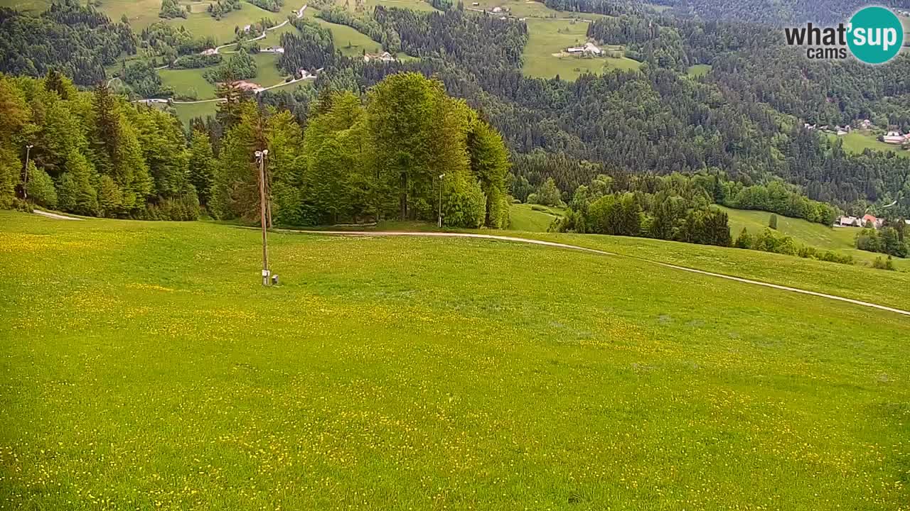 Skigebiet Stari Vrh Live Webcam – Slowenien