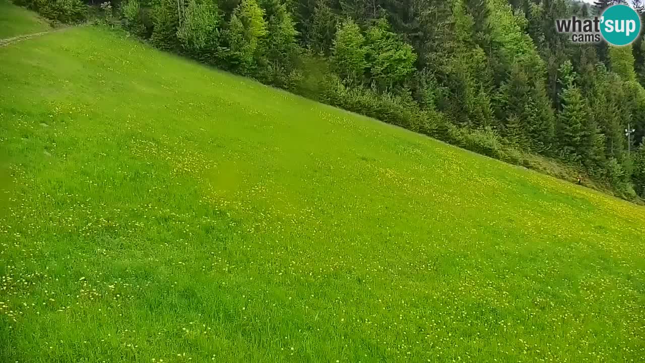 Estación de esquí Stari Vrh Cámara web en vivo – Eslovenia