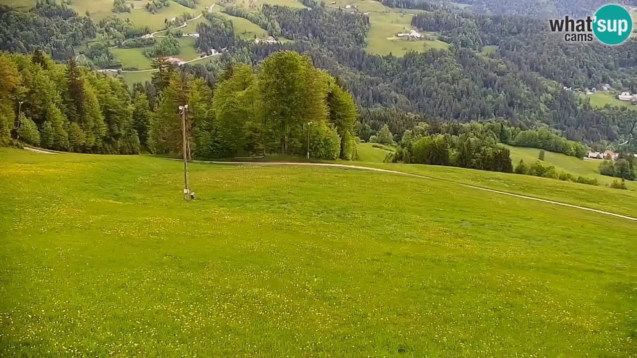 Stazione sciistica di Stari Vrh Webcam in diretta – Slovenia