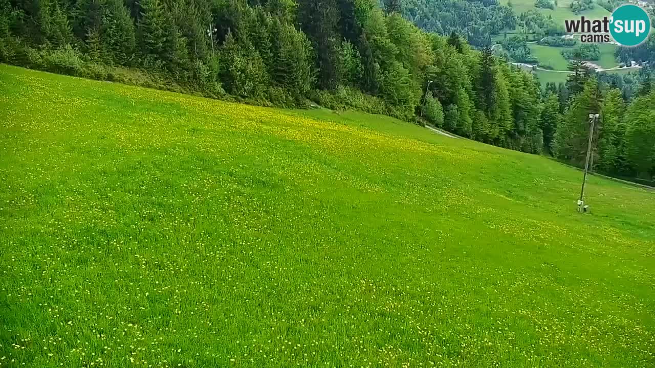 Skijalište Stari Vrh Web kamera uživo – Slovenija