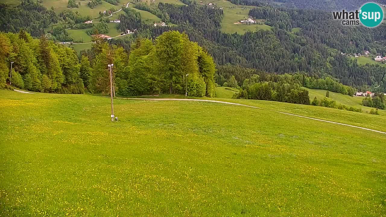 Smučišče Stari Vrh Spletna kamera – vrtljiva