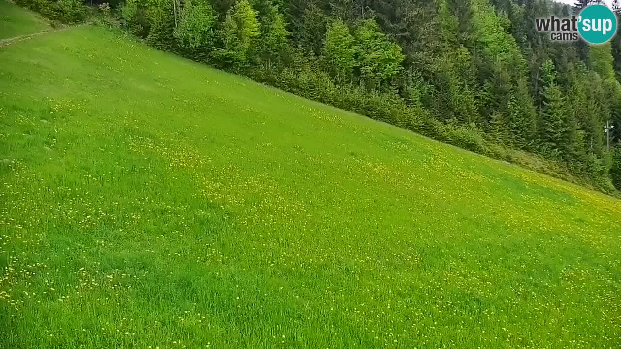 Stazione sciistica di Stari Vrh Webcam in diretta – Slovenia
