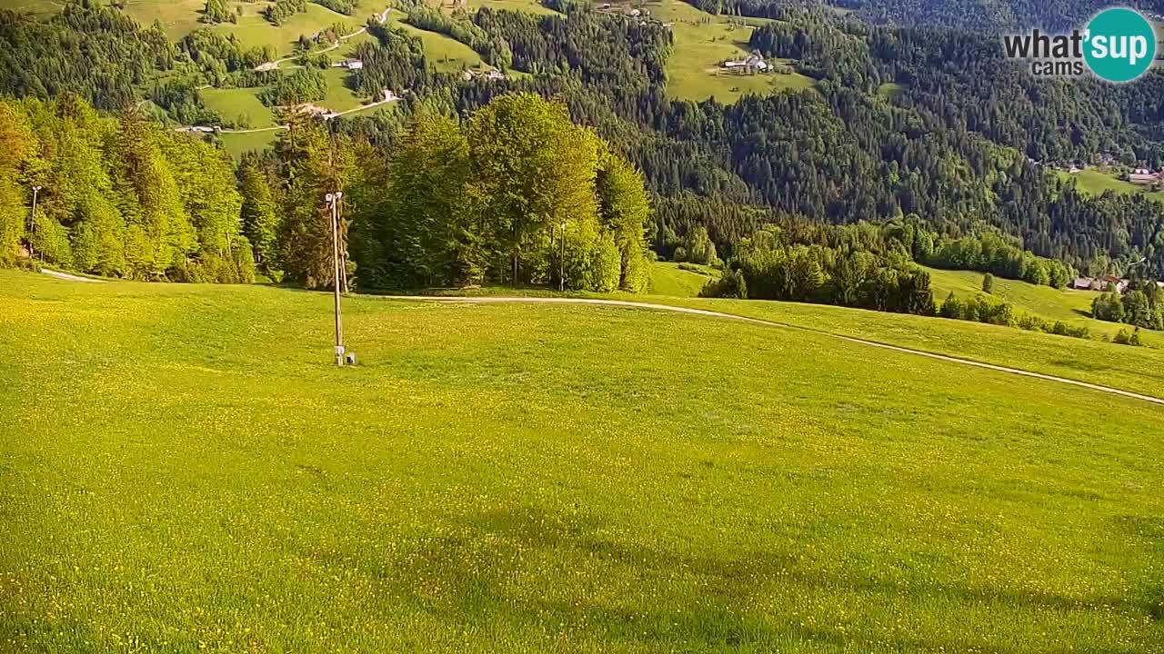 Skijalište Stari Vrh Web kamera uživo – Slovenija
