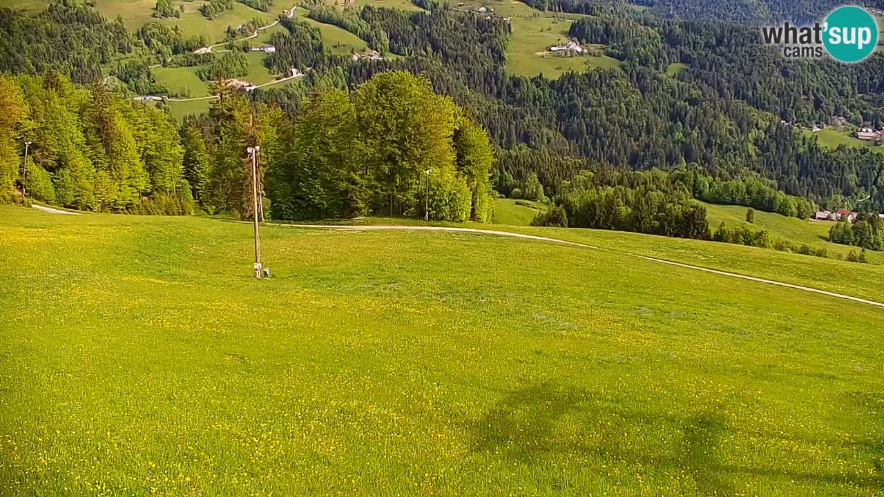 Webcam en direct de la station de ski de Stari Vrh – Slovénie