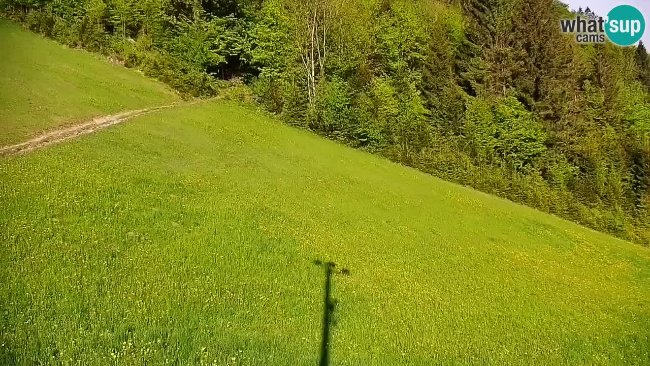 Stari Vrh Ski resort Live webcam – Slovenia
