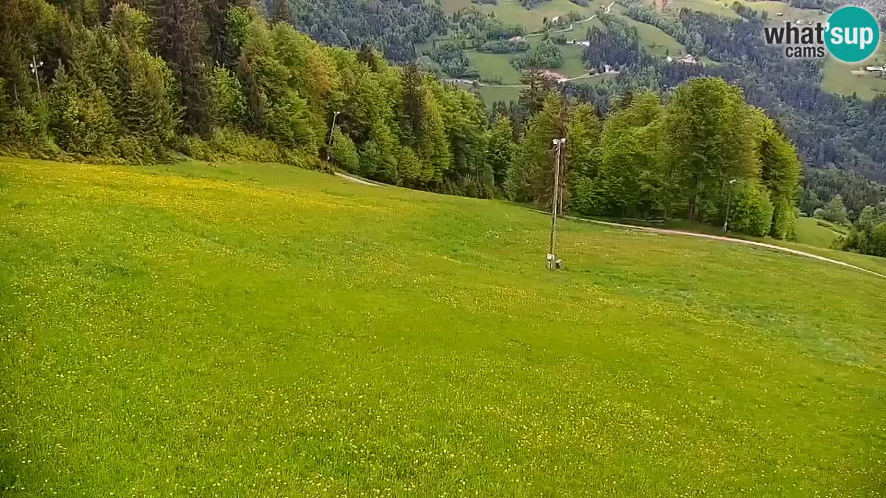 Webcam en direct de la station de ski de Stari Vrh – Slovénie