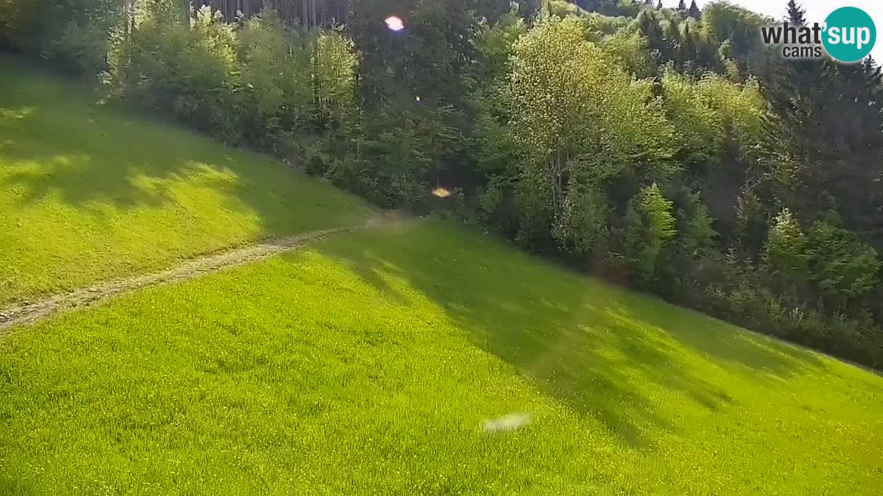 Stazione sciistica di Stari Vrh Webcam in diretta – Slovenia
