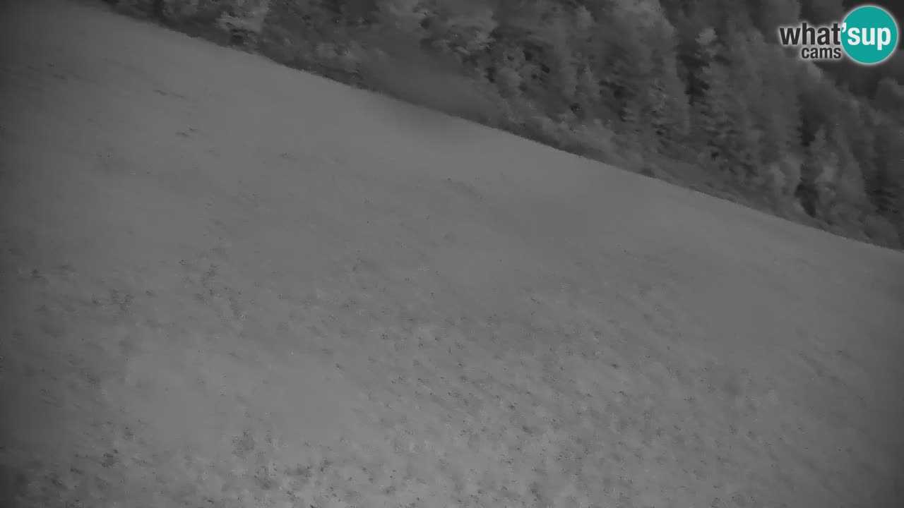 Estación de esquí Stari Vrh Cámara web en vivo – Eslovenia