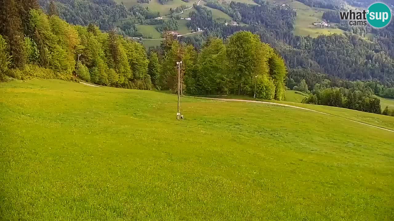 Stazione sciistica di Stari Vrh Webcam in diretta – Slovenia