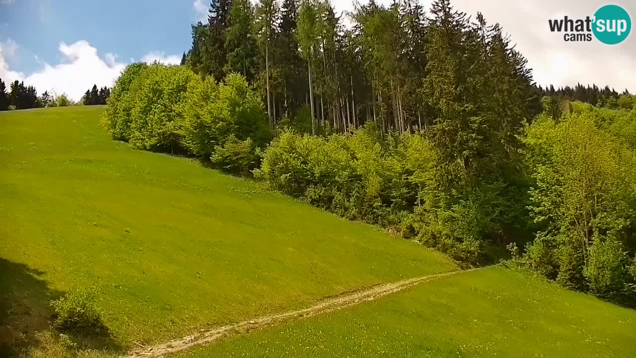 Stari Vrh Ski resort Live webcam – Slovenia