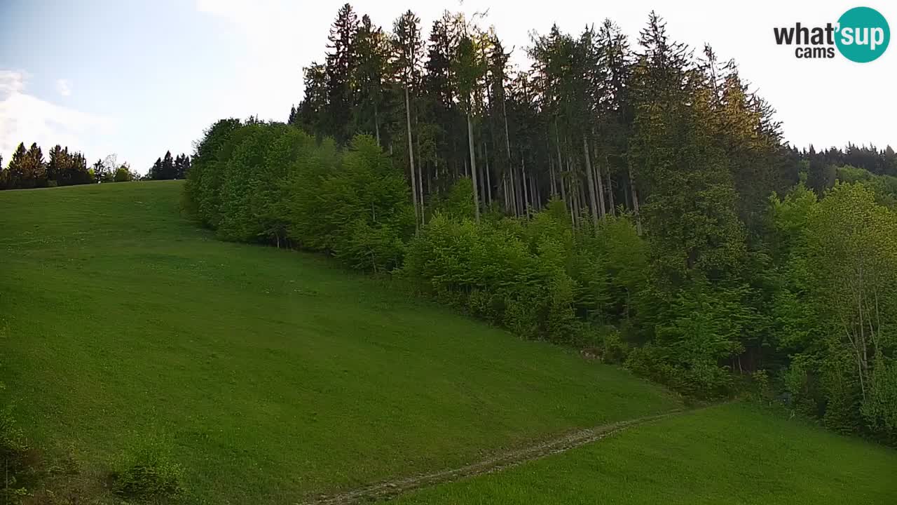 Stazione sciistica di Stari Vrh Webcam in diretta – Slovenia