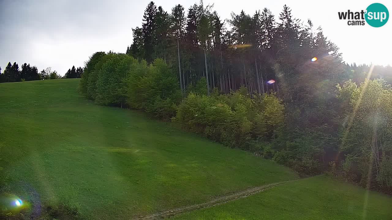 Stari Vrh Ski resort Live webcam – Slovenia