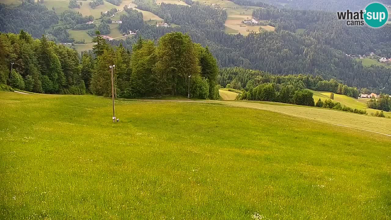 Stazione sciistica di Stari Vrh Webcam in diretta – Slovenia