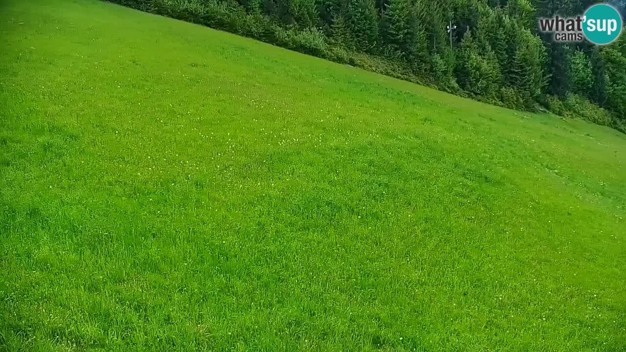 Stari Vrh Ski resort Live webcam – Slovenia