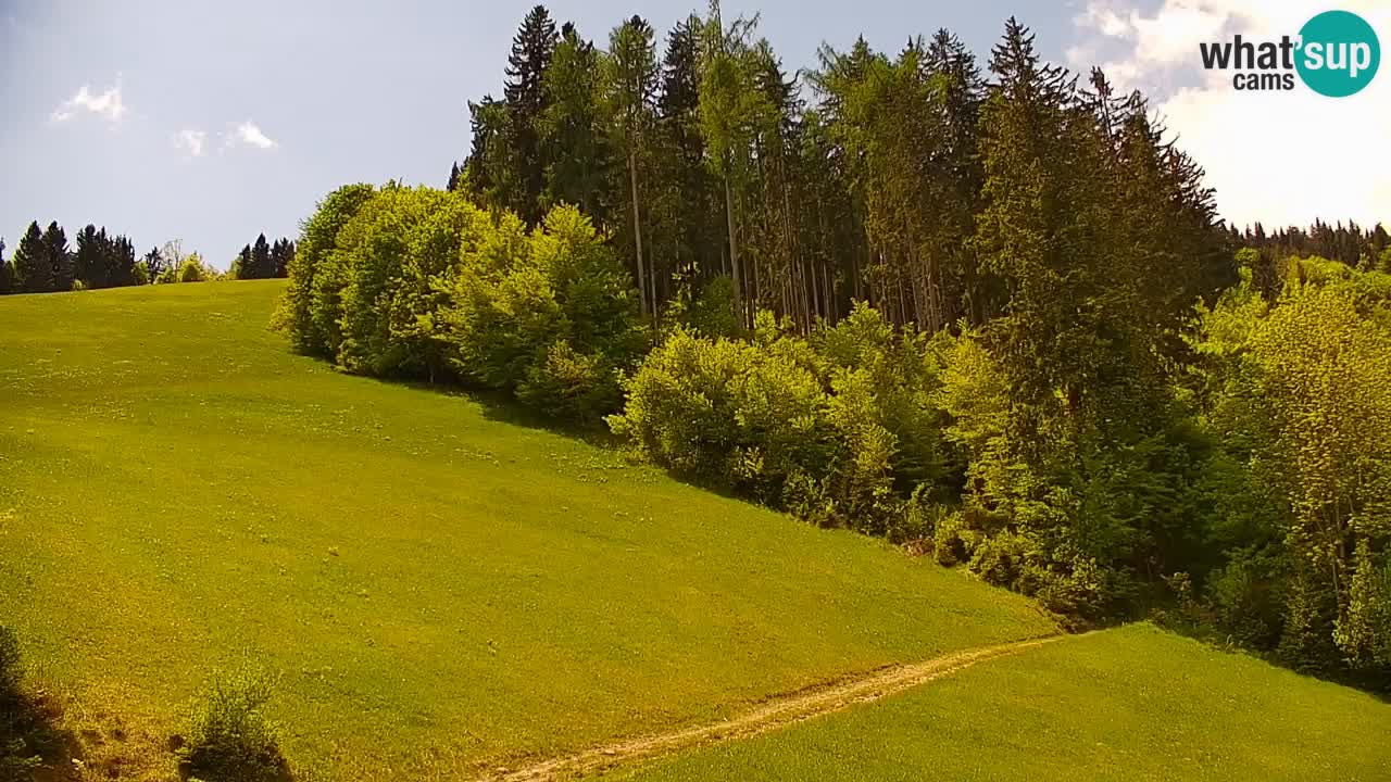 Stari Vrh Ski resort Live webcam – Slovenia