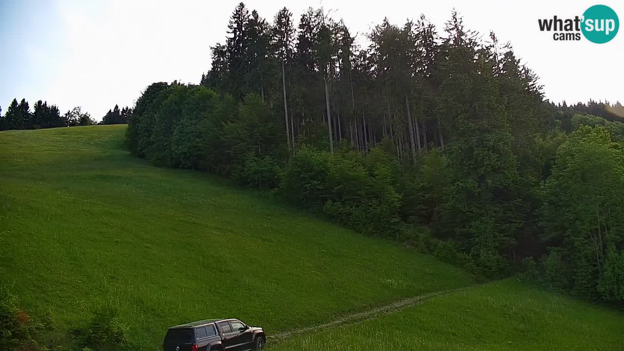 Stari Vrh Ski resort Live webcam – Slovenia