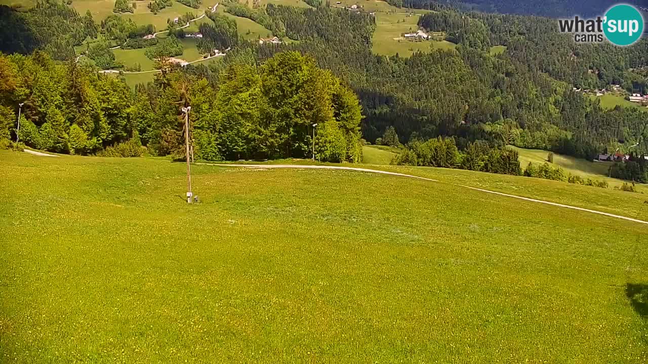 Estación de esquí Stari Vrh Cámara web en vivo – Eslovenia