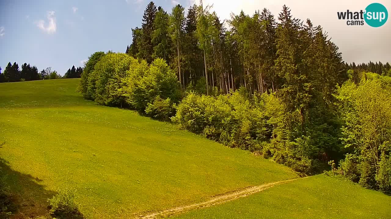 Smučišče Stari Vrh Spletna kamera – vrtljiva