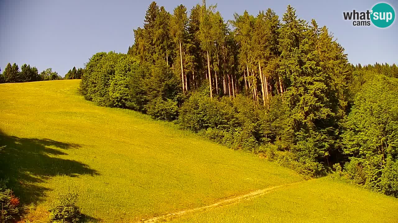 Stari Vrh Ski resort Live webcam – Slovenia