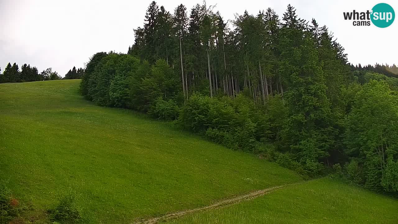 Webcam en direct de la station de ski de Stari Vrh – Slovénie