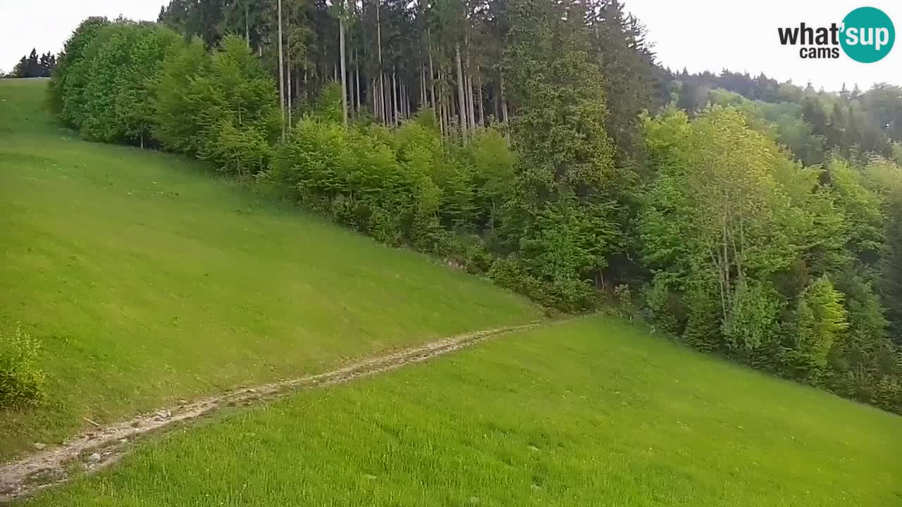 Estación de esquí Stari Vrh Cámara web en vivo – Eslovenia