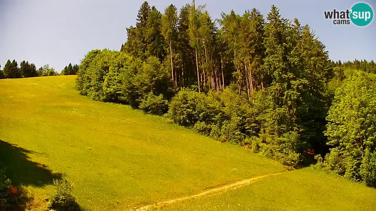 Stazione sciistica di Stari Vrh Webcam in diretta – Slovenia