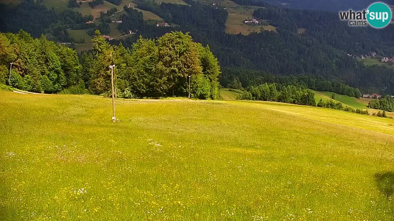 Skijalište Stari Vrh Web kamera uživo – Slovenija