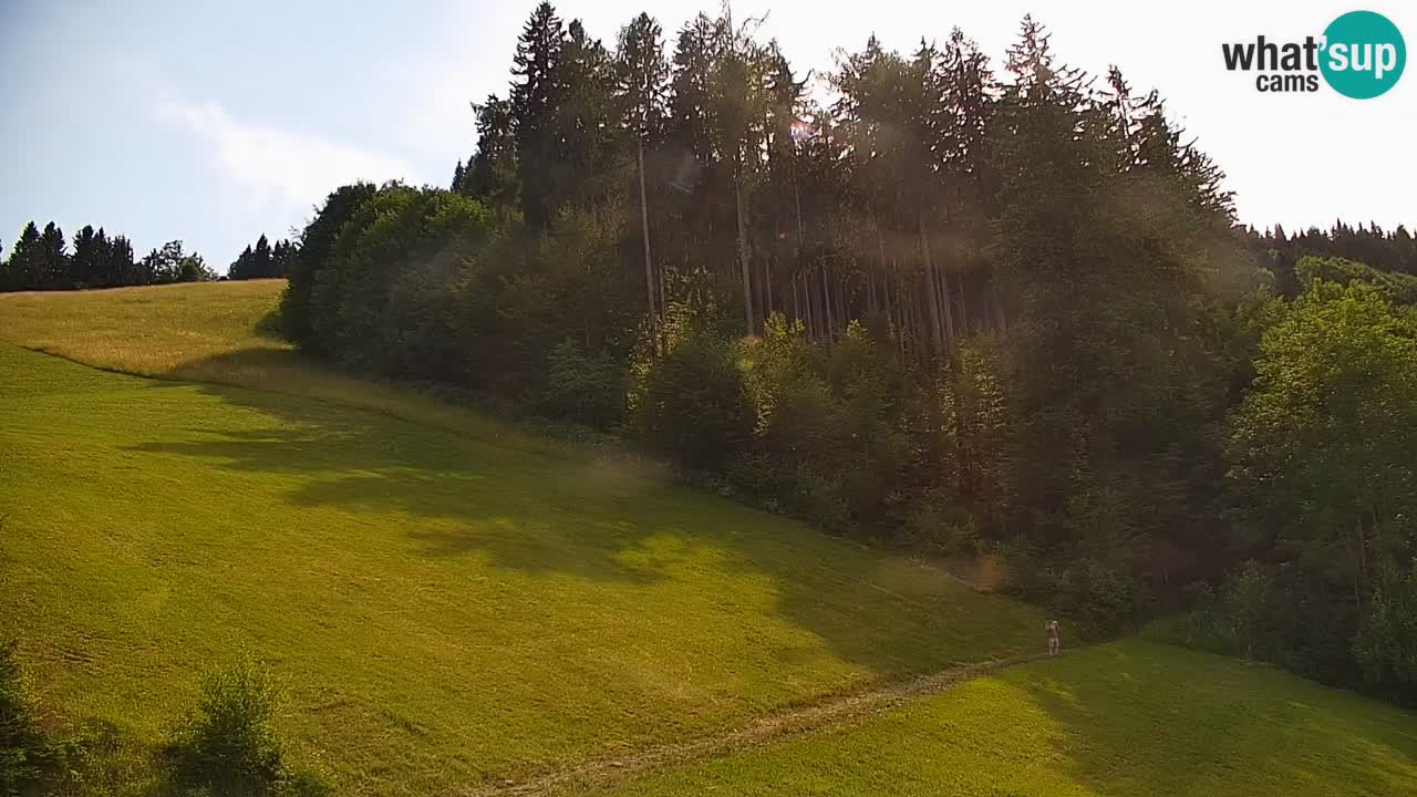 Estación de esquí Stari Vrh Cámara web en vivo – Eslovenia